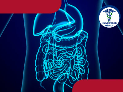 Tumores neuroendocrinos del aparato digestivo