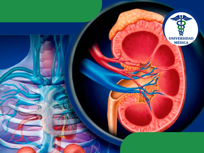 Diabetes y enfermedad renal